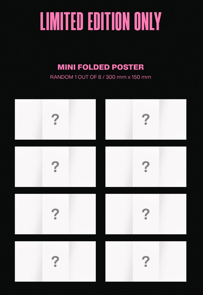 Stray Kids: Maxident [Go Ver.] [Limited Edition]