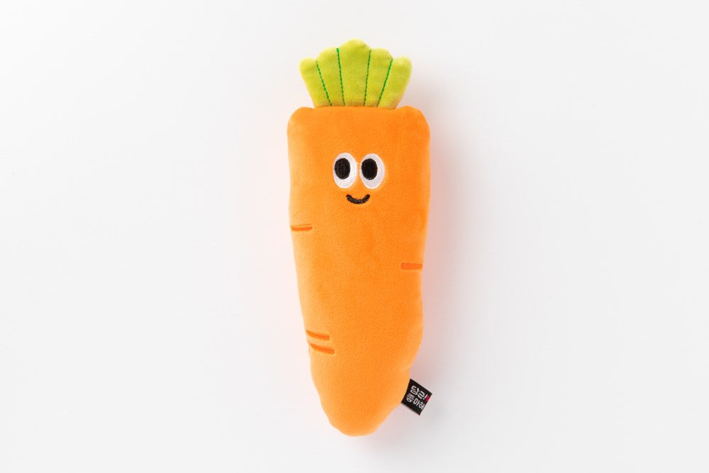 Pencil Case Carrot