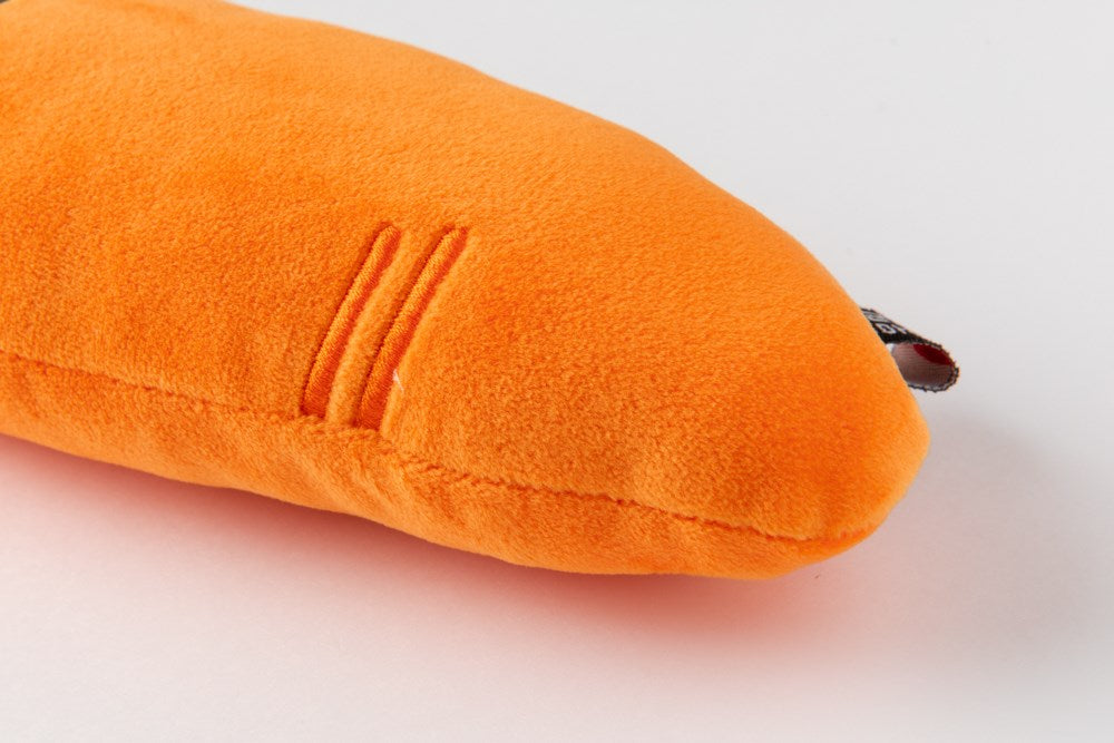 Pencil Case Carrot